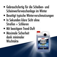 SONAX WinterBeast AntiFrost&KlarSicht bis -20°C 5L