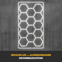 Performance Floor Hexagon LED-Deckenbeleuchtung inkl....